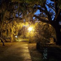 Ghost & Vampire Tours