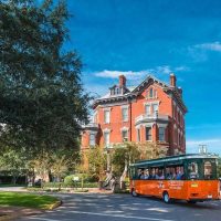 Tours & Sightseeing