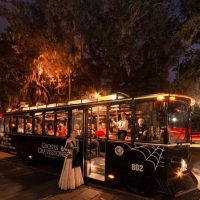 Historical & Heritage Tours