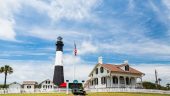 Dolphin/Tybee Island Tour
