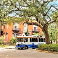 Bus & Minivan Tours