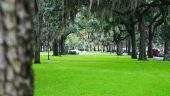 Great Tour for dialogue and leisurely stroll through Savannah