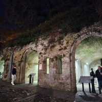Night Tours